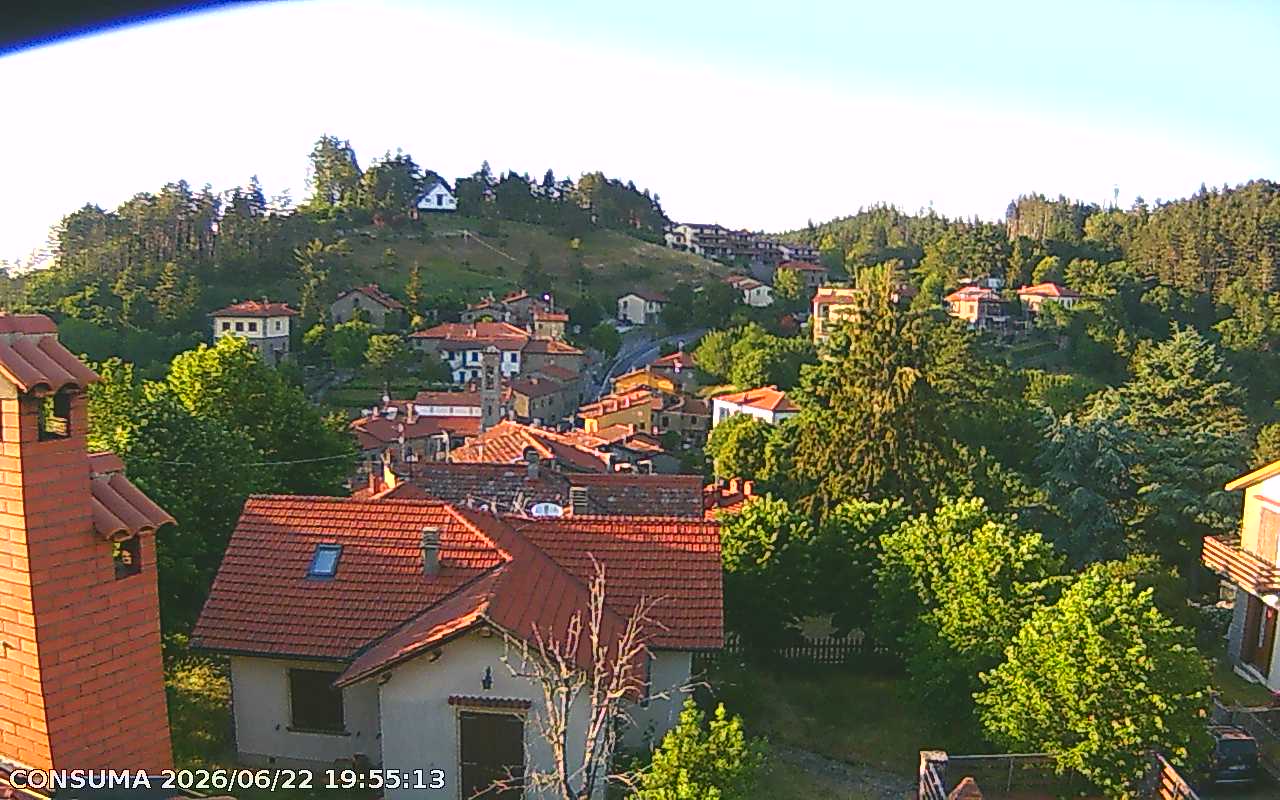 immagine della webcam nei dintorni di Firenze: webcam Pelago