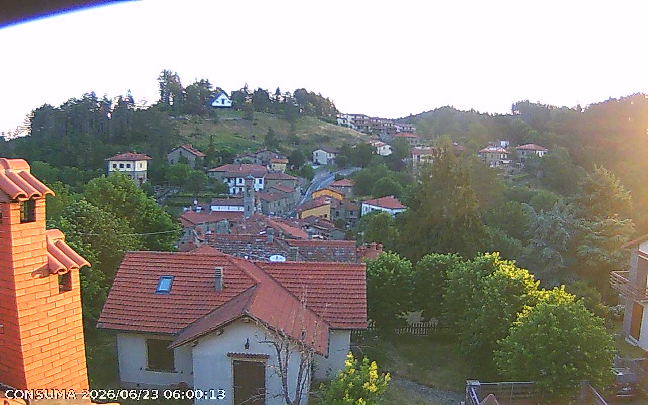 immagine della webcam nei dintorni di Ortignano Raggiolo: webcam Pelago