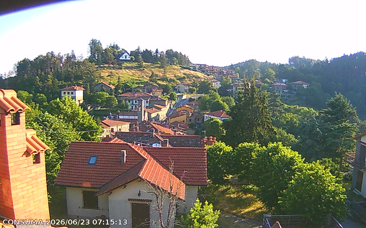 immagine della webcam nei dintorni di Firenze: webcam Pelago
