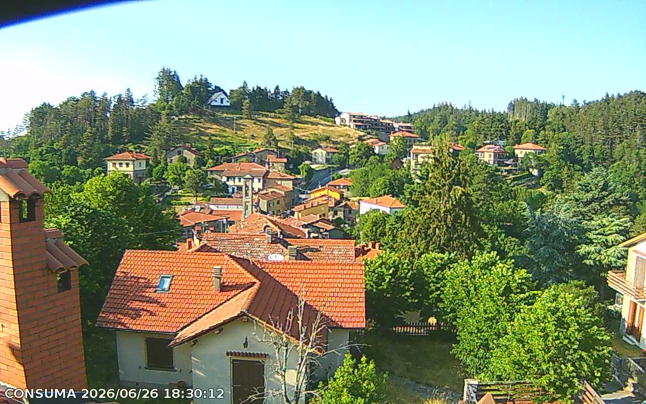 immagine della webcam nei dintorni di Ortignano Raggiolo: webcam Pelago