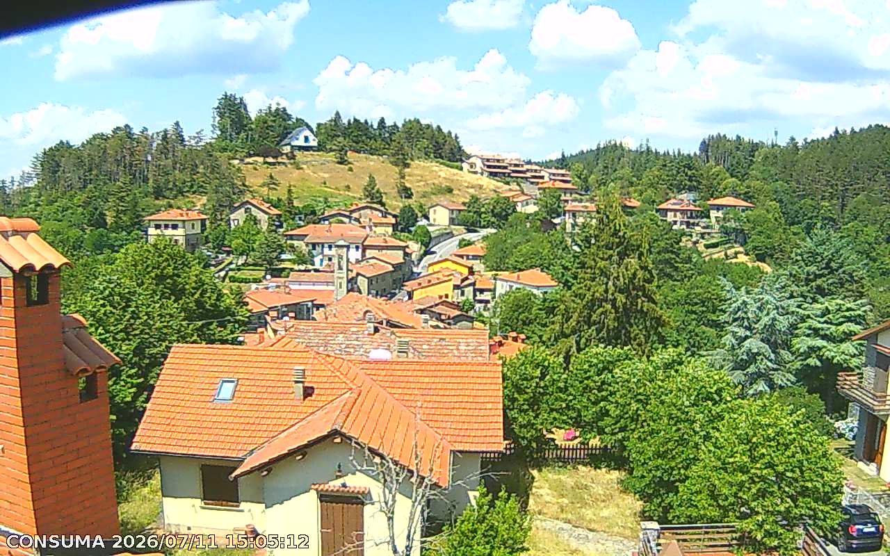 immagine della webcam nei dintorni di Passo della Consuma: webcam Pelago
