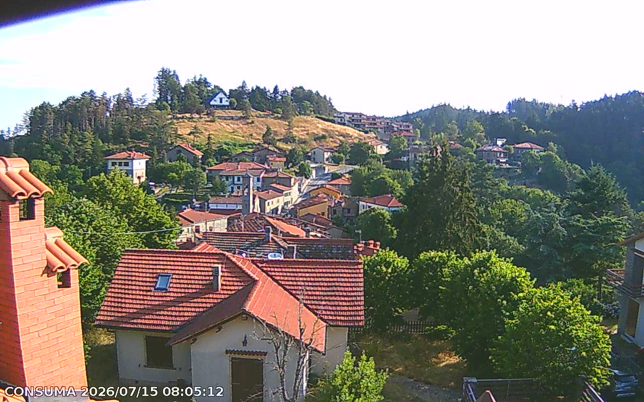 immagine della webcam nei dintorni di Campigna: webcam Pelago