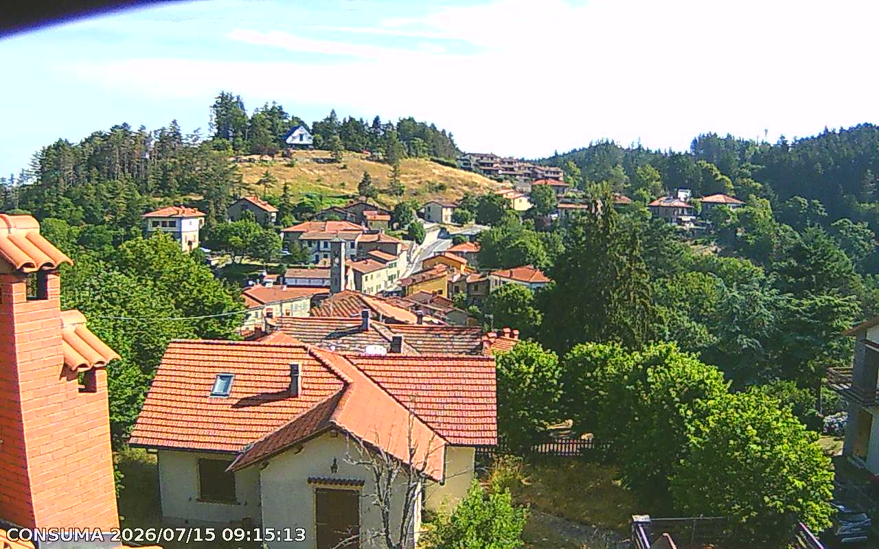 immagine della webcam nei dintorni di Rignano sull'Arno: webcam Pelago